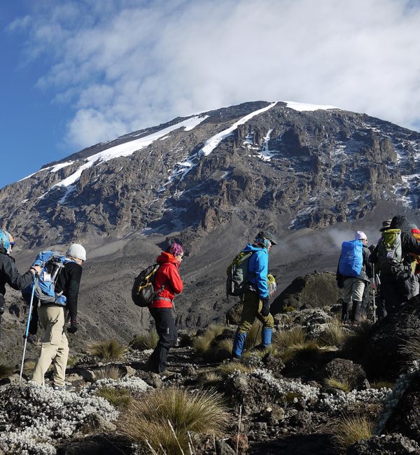 kilimanjaro climbing guides