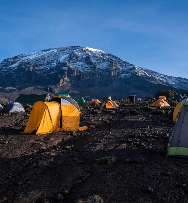 Camping on mount Kilimanjaro in tents to see the glaciers in Tanzania, Africa Orange tents on the way to Uhuru Peak.