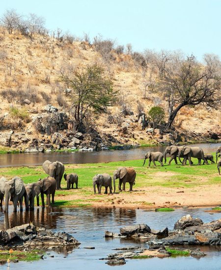 ruaha-national-park